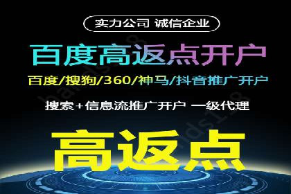 某行业SEM投放效果显著案例分享